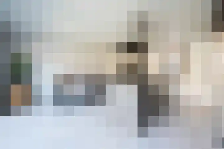 Kanestede 5 Zegge thumbnail 17