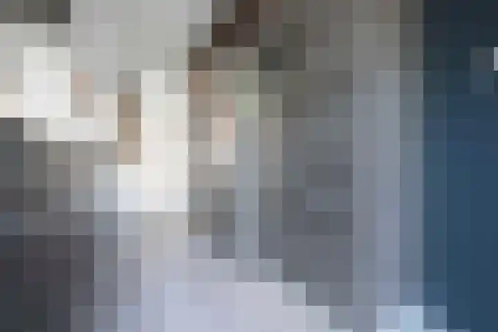 Kanestede 5 Zegge thumbnail 20
