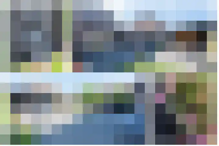 Kanestede 5 Zegge thumbnail 23