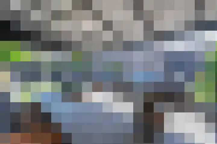 Kanestede 5 Zegge thumbnail 27