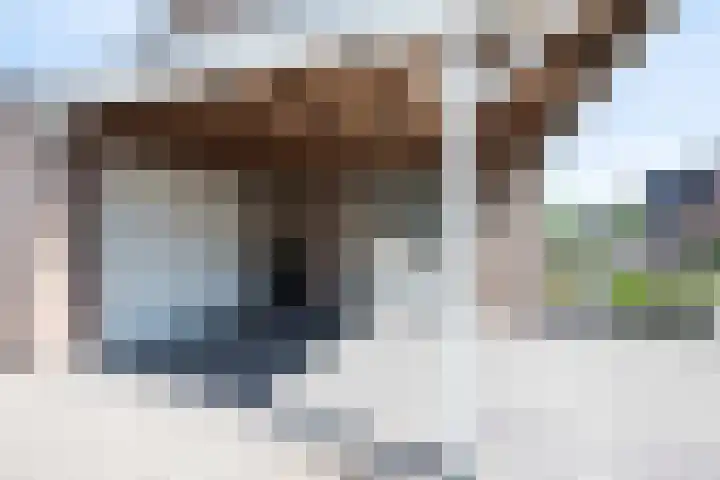 Kanestede 5 Zegge foto 3