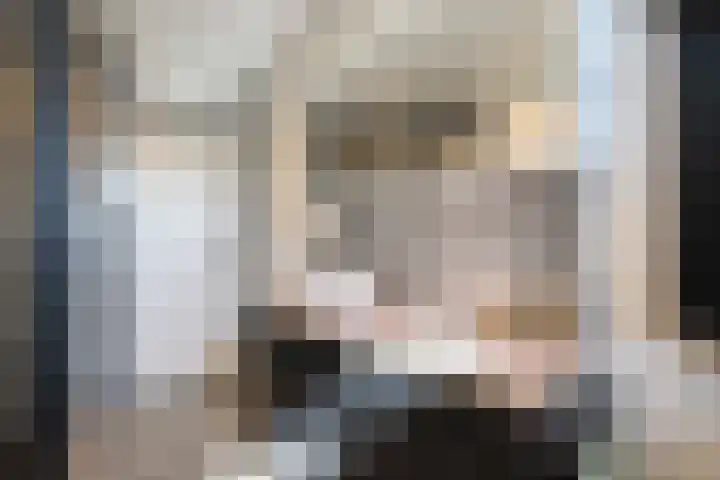 Kanestede 5 Zegge thumbnail 36