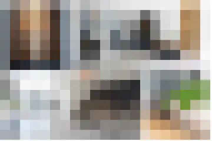 Kanestede 5 Zegge thumbnail 8