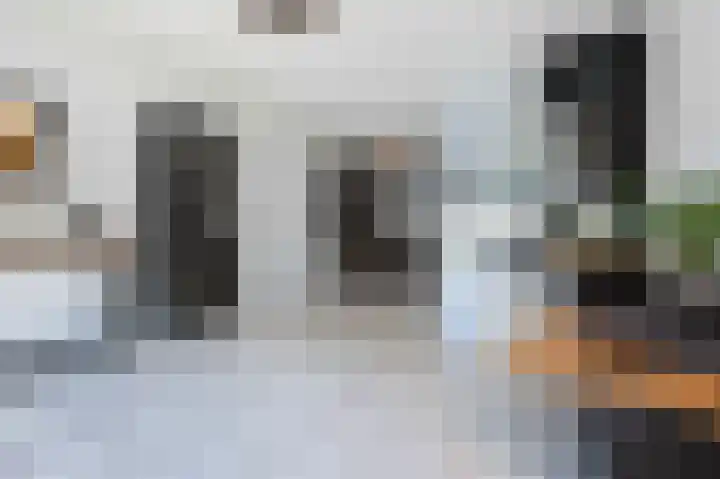 Kanestede 5 Zegge thumbnail 9