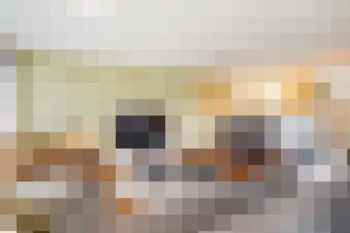 Kangoeroestraat 21 Breda thumbnail 11