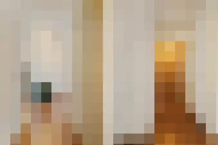 Kangoeroestraat 21 Breda thumbnail 15
