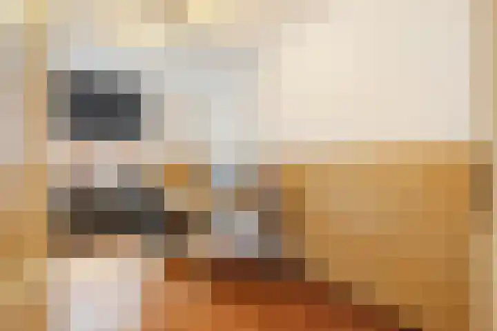 Kangoeroestraat 21 Breda thumbnail 20
