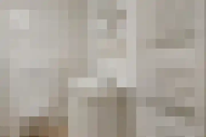 Kangoeroestraat 21 Breda thumbnail 23