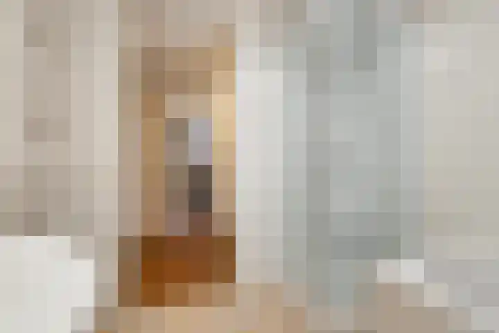 Kangoeroestraat 21 Breda thumbnail 26