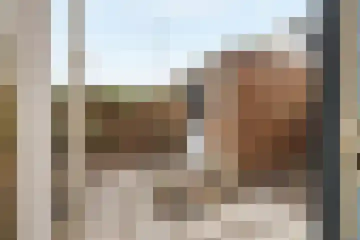 Kangoeroestraat 21 Breda thumbnail 27