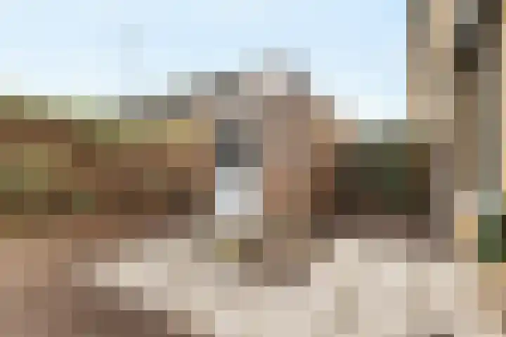 Kangoeroestraat 21 Breda thumbnail 28