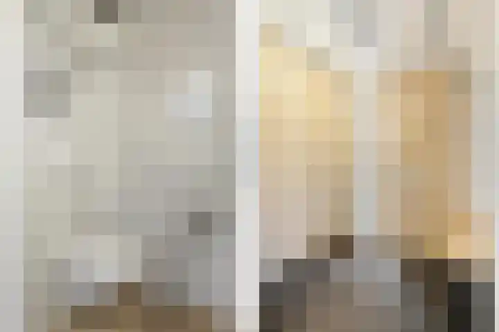 Kangoeroestraat 21 Breda thumbnail 6