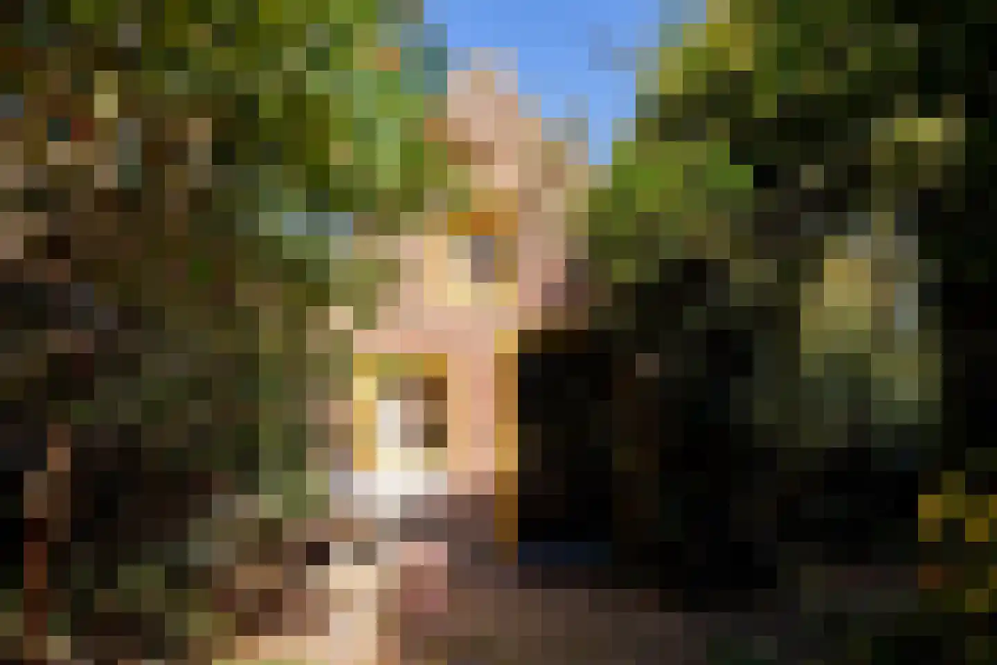 Kannelustweg 8 Aarle-Rixtel thumbnail 22