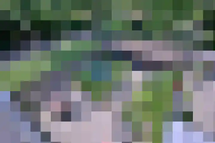 Kannenburg 524 Deventer thumbnail 30