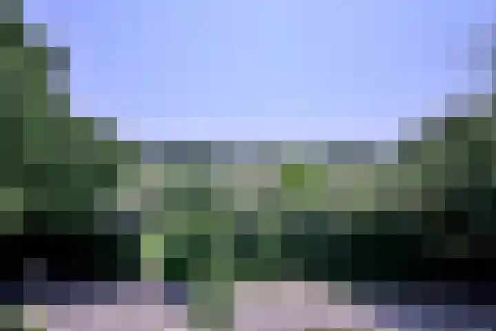 Kannenburg 524 Deventer thumbnail 32