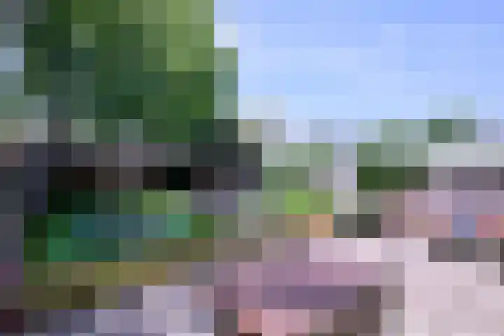 Kannenburg 524 Deventer thumbnail 36