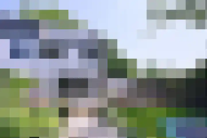 Kannenburg 524 Deventer thumbnail 41