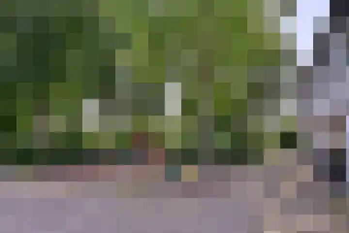 Kannenburg 524 Deventer thumbnail 42