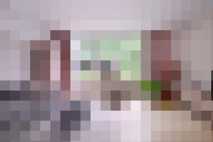 Kannenburg 524 Deventer thumbnail 5