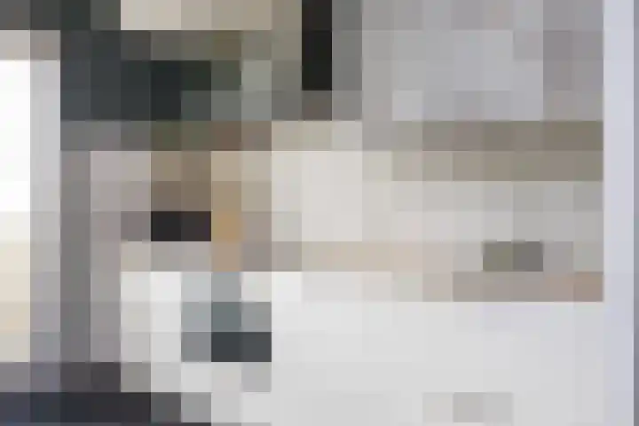 Kanon 42 Zutphen thumbnail 9