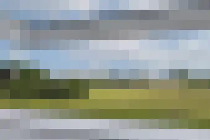 Kanonsdijk 116 Zutphen thumbnail 14