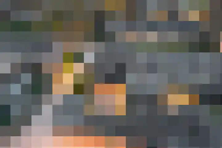 Kanoweg 69 Ermelo thumbnail 54