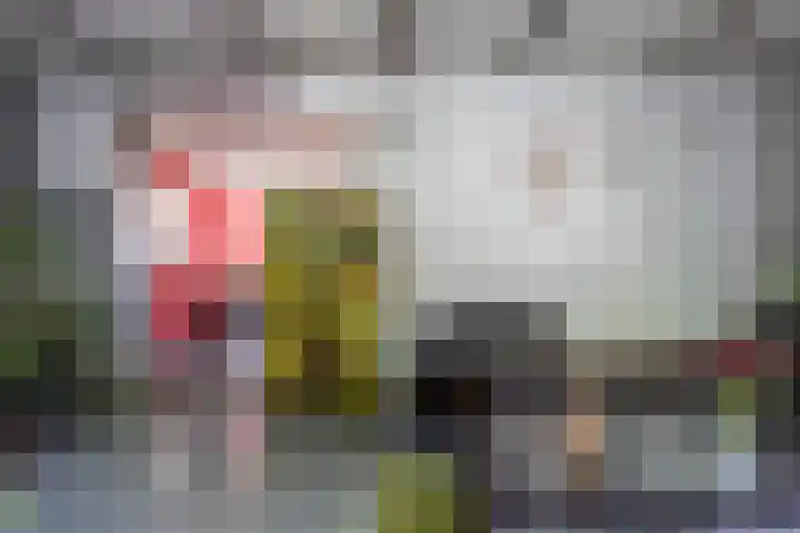 Kant 12 Kerkrade thumbnail 10