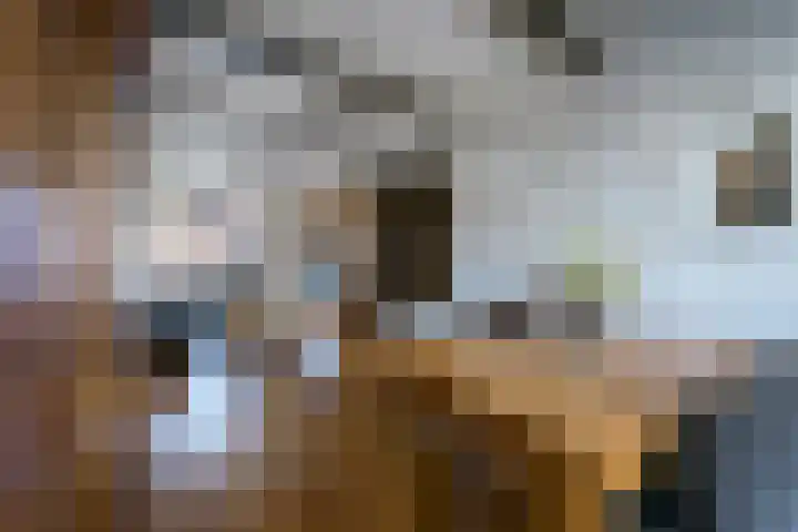 Kant 30 Kerkrade thumbnail 10