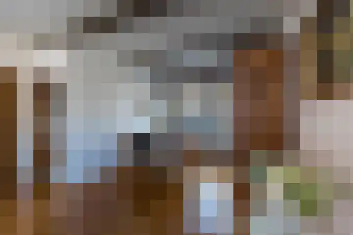 Kant 30 Kerkrade thumbnail 9