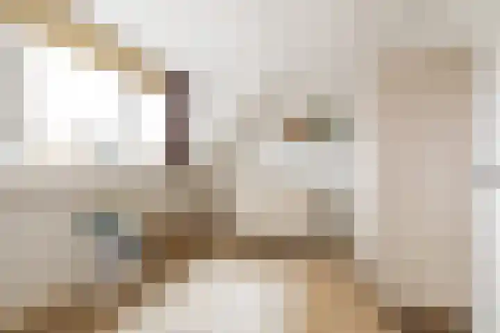 Kantbeugel 44 De Goorn thumbnail 29