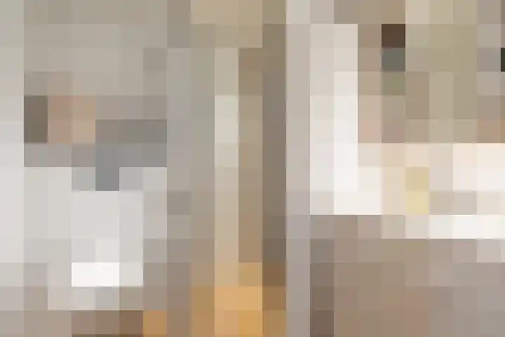 Kantbeugel 44 De Goorn thumbnail 31