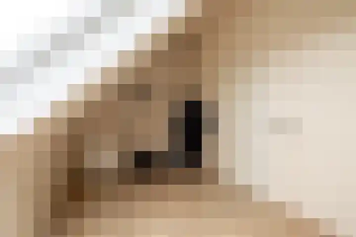 Kantbeugel 44 De Goorn thumbnail 36