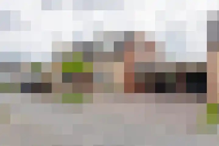 Kanteel 3 Dreumel