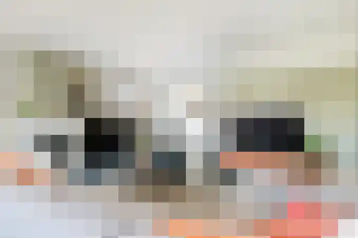 Kanteel 3 Dreumel thumbnail 10