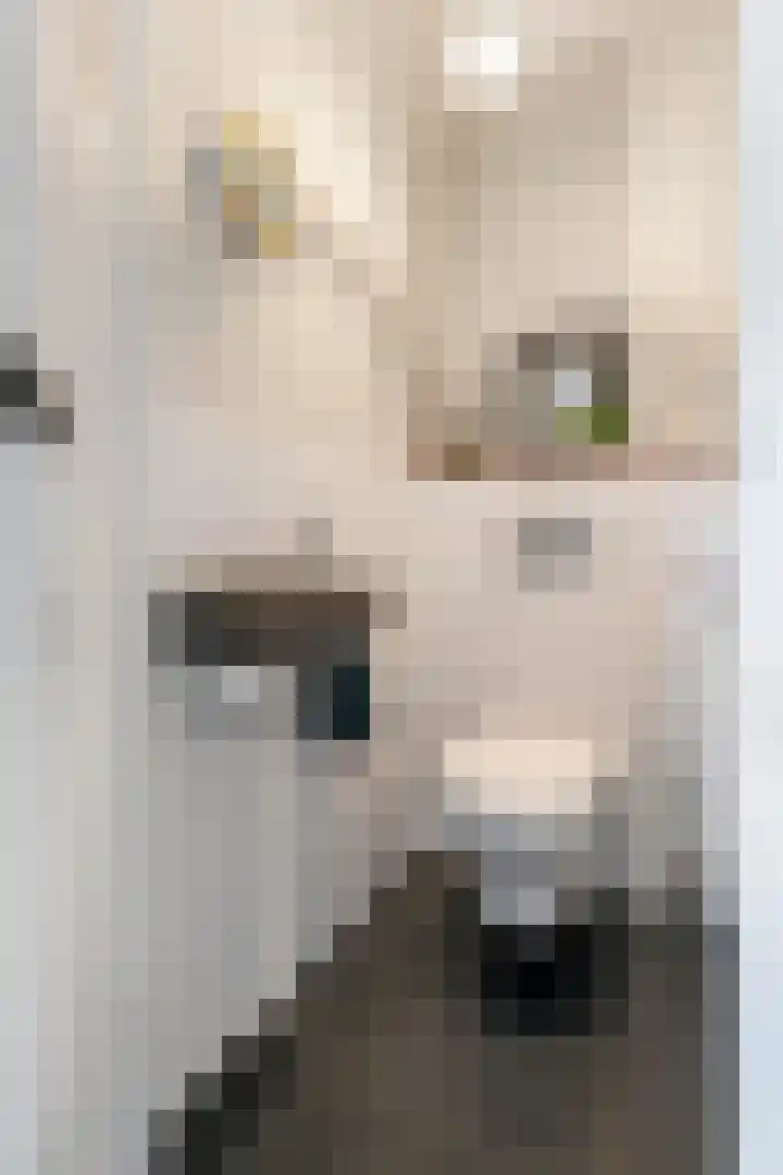Kanteel 3 Dreumel thumbnail 18