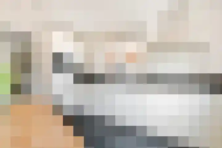 Kanteel 3 Dreumel foto 2