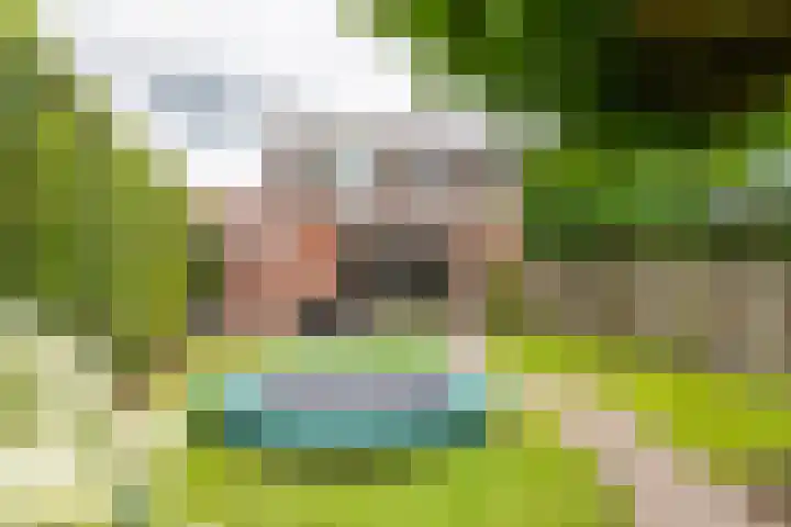 Kanteel 3 Dreumel thumbnail 31