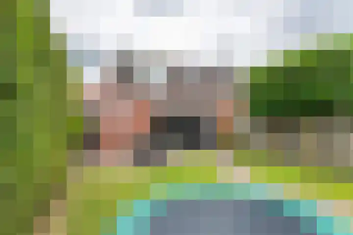 Kanteel 3 Dreumel thumbnail 32