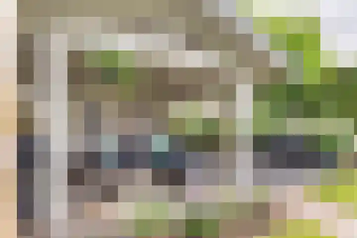 Kanteel 3 Dreumel thumbnail 35
