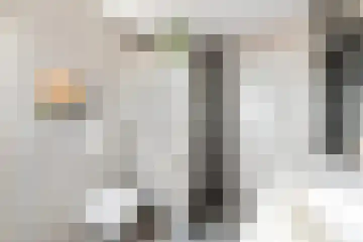 Kanteel 3 Dreumel thumbnail 4
