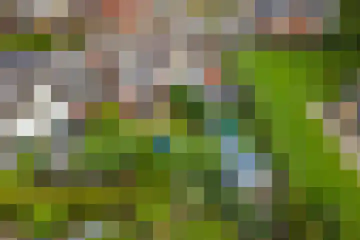 Kanteel 3 Dreumel thumbnail 43