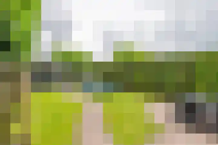 Kanteel 3 Dreumel thumbnail 5