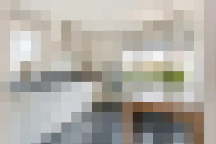 Kanteel 3 Dreumel thumbnail 8