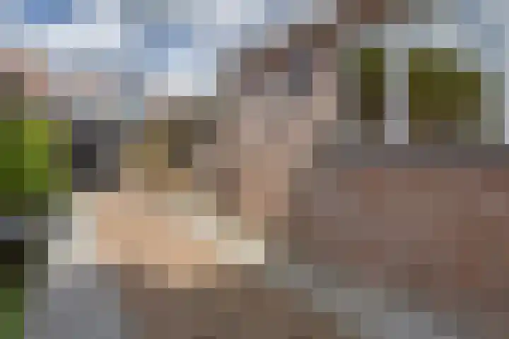 Kanteel 32 De Goorn thumbnail 24