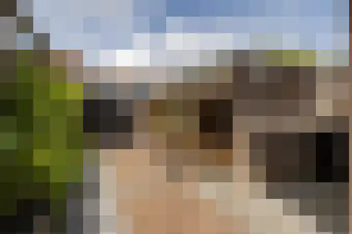 Kanteel 32 De Goorn thumbnail 25