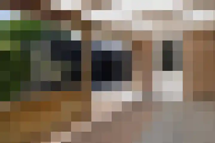 Kanteel 32 De Goorn thumbnail 27