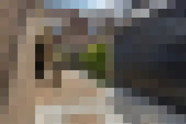 Kanteel 32 De Goorn thumbnail 29