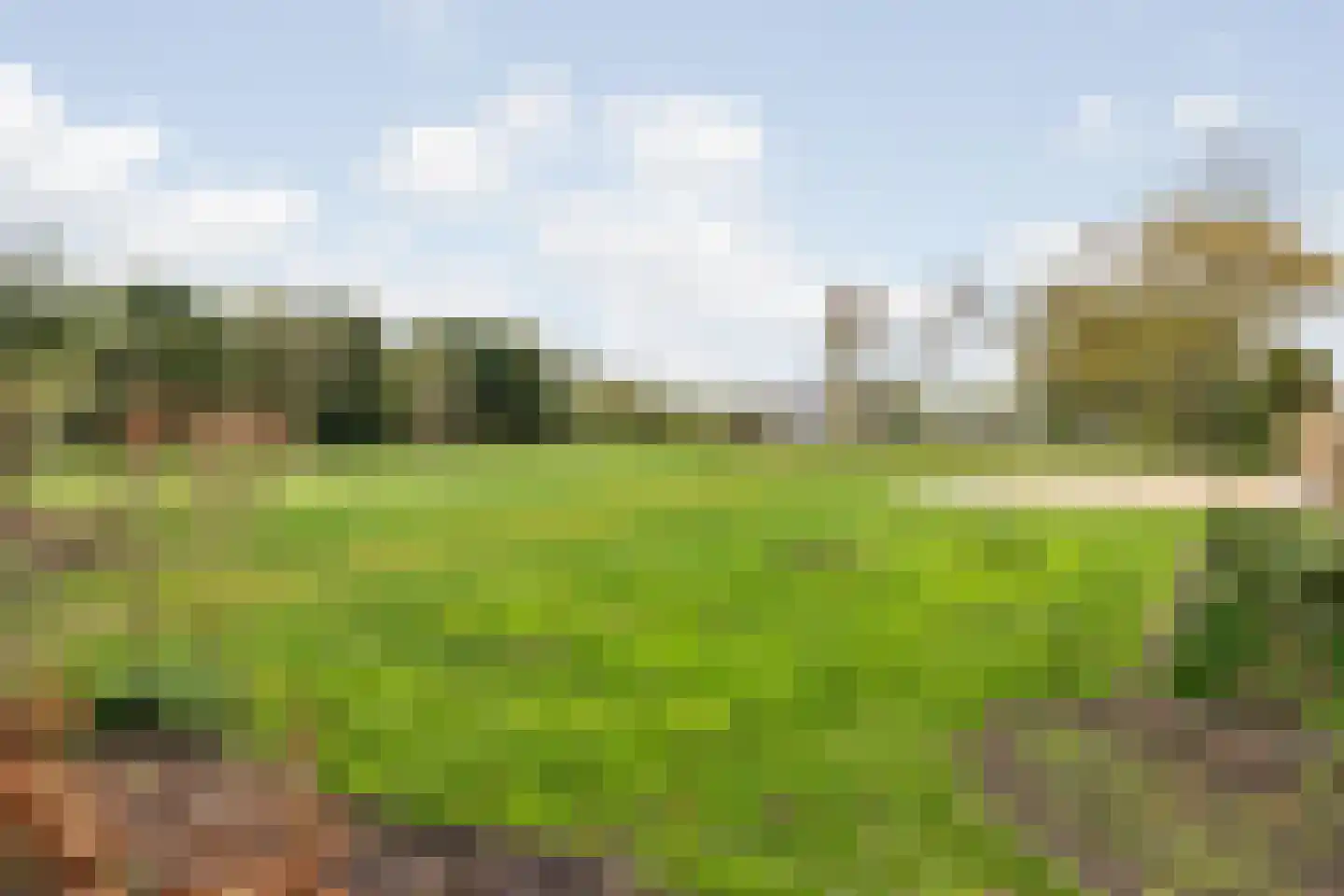 Kantenbeemd 16 Breda thumbnail 35
