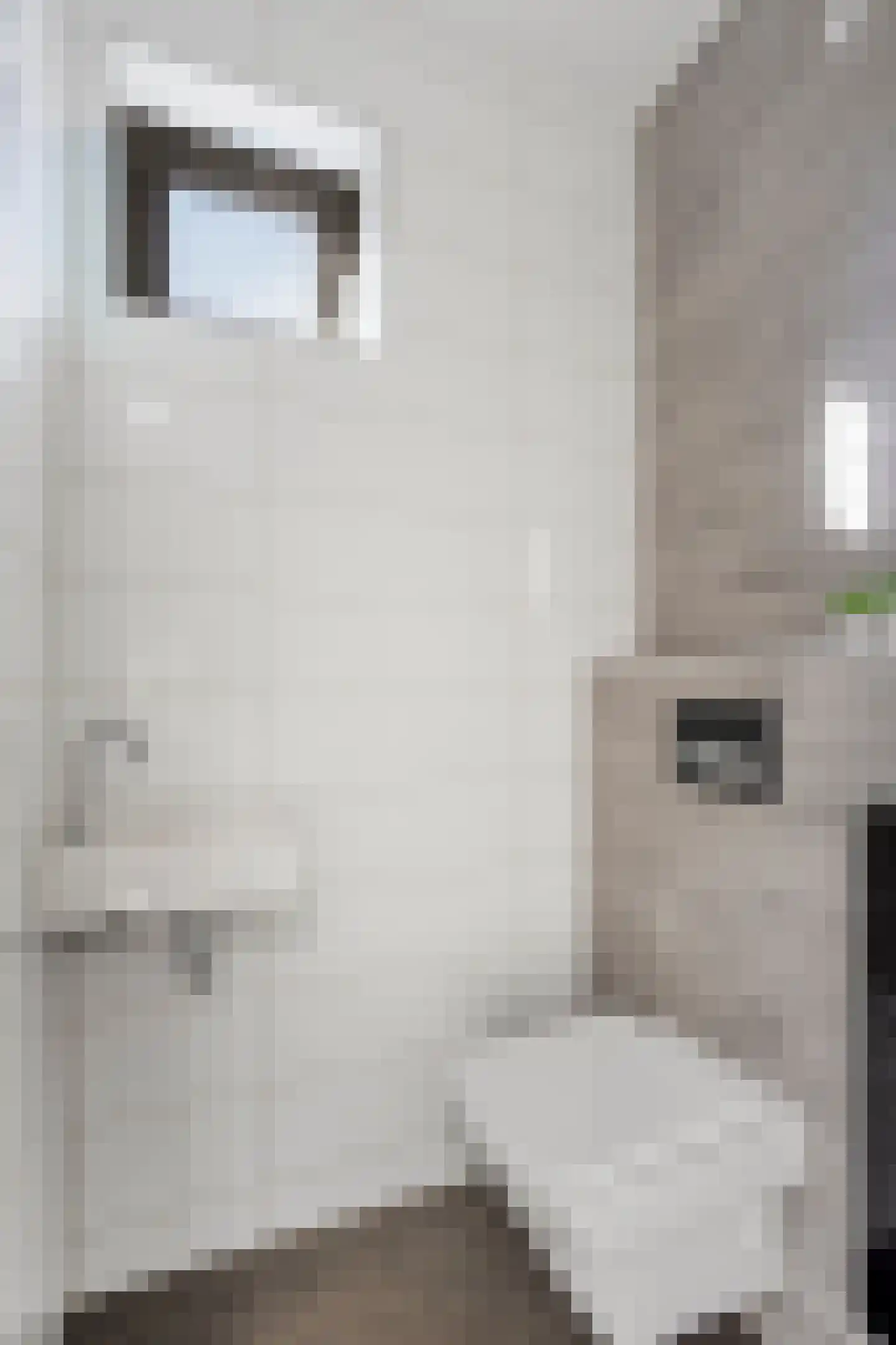 Kantonnier 9 Elst thumbnail 15