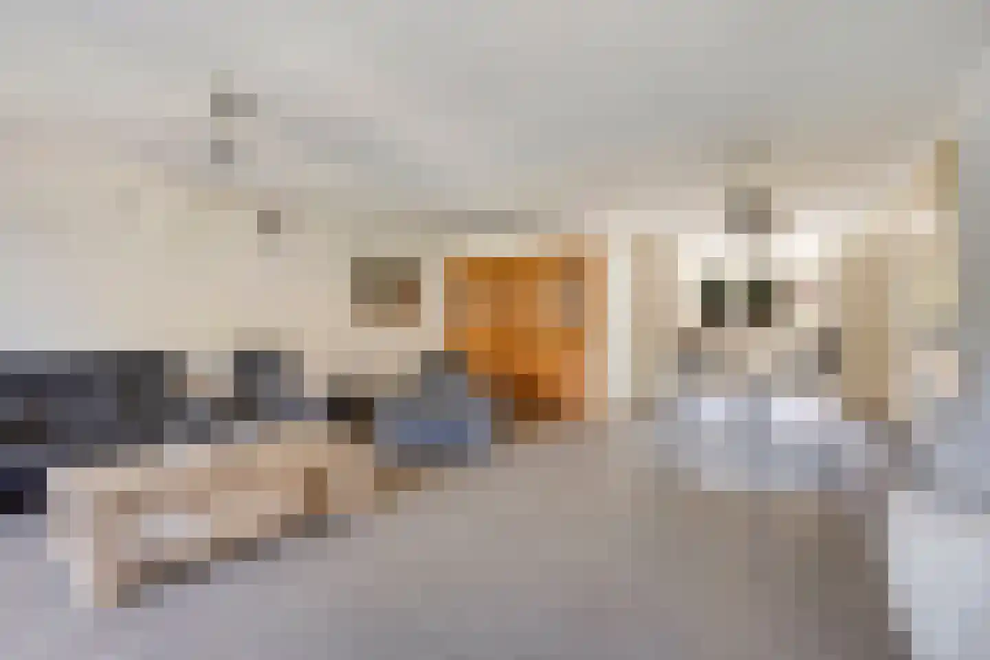 Kantonnier 9 Elst thumbnail 19